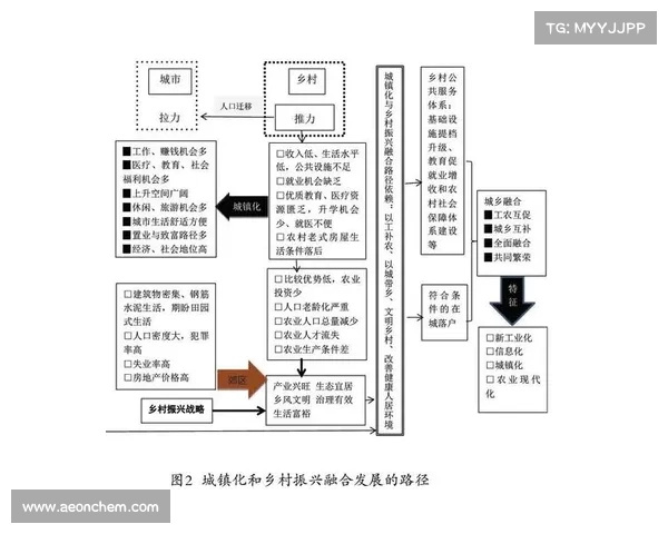 降级区发展与转型：探索新兴区域经济路径与社会融合模式
